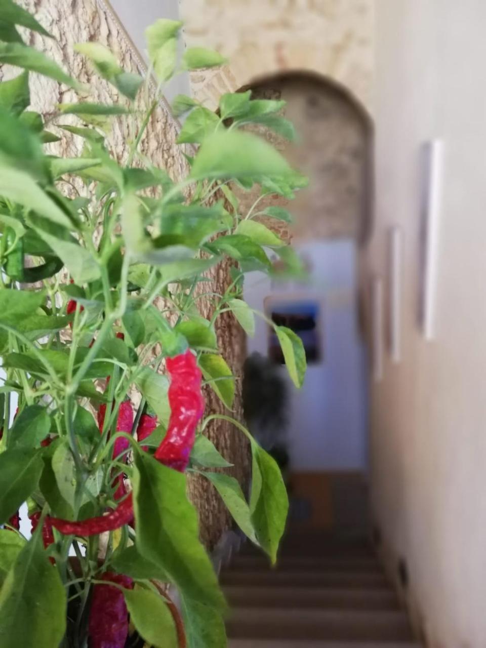 A Casa di Alessandro Tropea Bagian luar foto